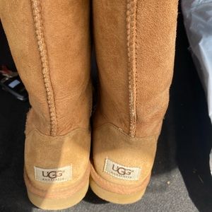 Tall tan ugg boots
